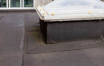 disadvantages of Hillhampton flat roofs