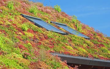 Hillhampton living roof systems